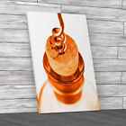 Corkscrew in Bottle Orange Canvas Print Large Picture Wall Art