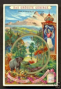 Tibet Himalaya Chromo Litho Elephant Dancer 1890s - Picture 1 of 1
