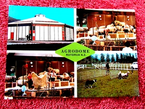 AGRODOME ROTORUA NEW ZEALAND COLOUR POSTCARD [516] - Picture 1 of 2
