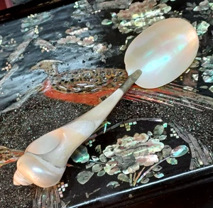 Mother of Pearl Caviar Spoon. Natural Shell Handle. Serving. Vintage. 17.5cm. #1 - Picture 1 of 10