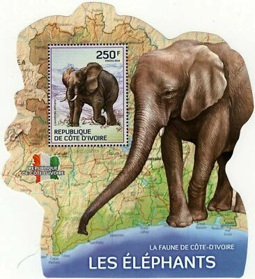 Hoja de recuerdo de sello de elefantes Loxodonta africana MNH #1610 Foto 1 de 4