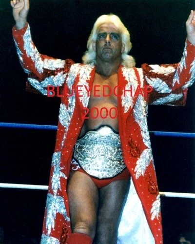 RIC FLAIR WRESTLER 8 X 10 WRESTLING PHOTO NWA WWF WCW - Image 1 of 1