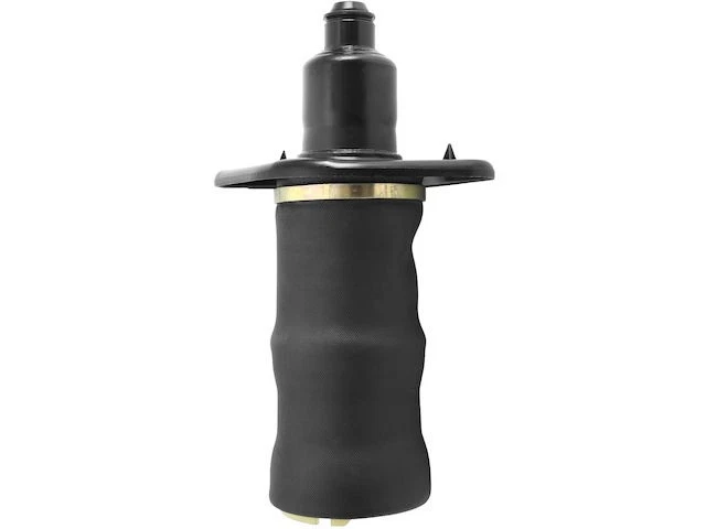 Muelle neumático trasero izquierdo para Audi Allroad Quattro 2001-2005 2003 2002 2004 JF311GW Foto 1 de 1