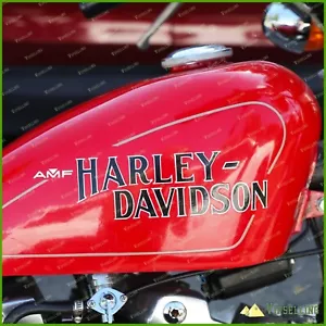 AMF Harley Davidson FXLR FXEF FXE 1977 LOW RIDER Gas Fuel Tank Stickers Decals - Foto 1 di 18