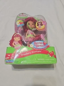 Strawberry Shortcake Herself Berries To Blossoms Puppe komplett Playmates 2006 - Bild 1 von 7
