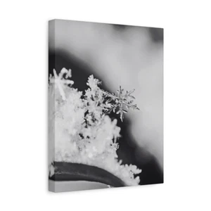 Snowflake Macro Canvas Wall Art – Minimalist Winter Photography – Black and Whit - Picture 1 of 45