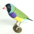 Choco Egg Mini Figure Bird Gouldian Finch Black Kaiyodo Furuta Japan