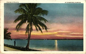 Vintage Eventide Florida Sunset Palm Tree Postcard Divided Back 1921 - Picture 1 of 2