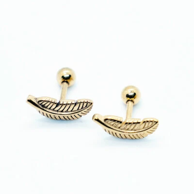 Pendientes quirúrgicos de acero inoxidable con barra de plumas anillo de cartílago Tragus  Foto 1 de 4