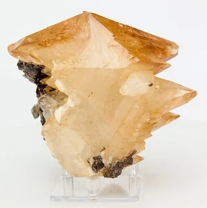 Dogtooth Calcit Kristallcluster 2,96 Pfund Sternstrahl Honig Ulmholz TN H0032 - Bild 1 von 12