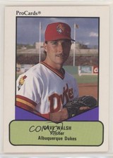 1990 ProCards AAA Future Stars Dave Walsh #66
