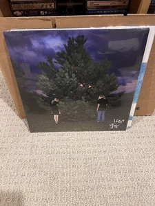100 Gecs - 1000 Gecs LP - Green Smoke - 2019- SEALED NEW RECORD - 7567864905 9 - Picture 1 of 8