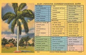 Postcard Palm Tree Busy Persons Correspondence Card Nothing - Picture 1 of 2