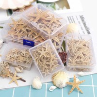 Natural Beach Starfish Craft Sea Stars DIY Seashell Wedding Box Home Decoration