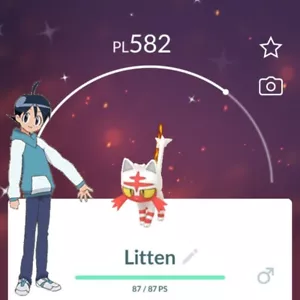 Pokémon GO ✨ Shiny Litten ✨ Registered or Not Registered Trade (30 days) - Foto 1 di 1