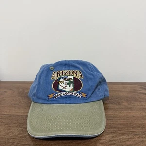 Arizona The Grand Canyon State Logo Baseball Cap Adult Blue One Size Men’s - Picture 1 of 6