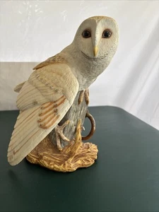 DIE SCHLEIEREULE 1987 HANDBEMALTE PORZELLANFIGUR GEORGE MCMONIGLE FRANKLIN NEUWERTIG - Bild 1 von 9