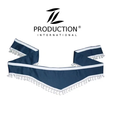 LKW-Frontscheibenborde Keilform DAF EURO 6 (XF106) Space Cab Dunkelblau-Weiß D06 - Bild 1 von 4