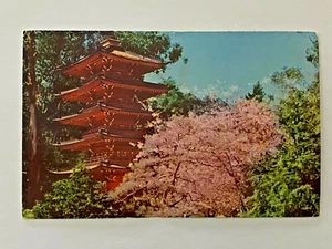Vintage Postcard UNPOSTED Japanese Tea Garden Pagoda  San Francisco California  - Picture 1 of 2