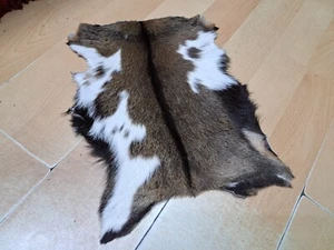 Turkish Goat Leather, Angora Skin, Genuine Goat Skin, Home Gift, 1.2 x 1.7 ft - Picture 1 of 18