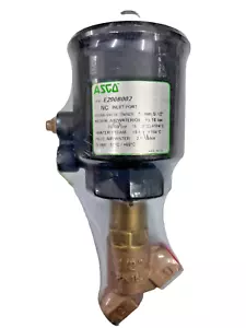 ASCO E290B002 2-Way NC Pressure Operated Angle Seat Valve G1/2" - Picture 1 of 3