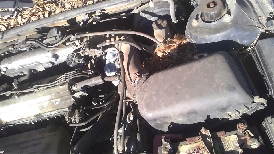 Used Air Cleaner Assembly fits: 1999 Toyota Camry 4 cylinder Grade A - Image 1 of 4