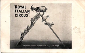 vvv 33 - 1910 ROYAL ITALIAN CIRCUS Scala giapponese - Cartolina non VG - FP - Photo 1/2