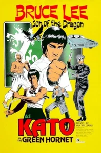 Bruce Lee as Kato Green Hornet POSTER Dragon Rare Large - Picture 1 of 1