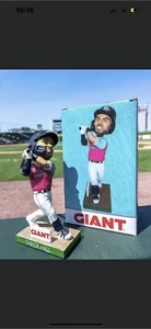 DARICK HALL LEHIGH VALLEY IRONPIGS BOBBLE HEAD NEW IN BOX 6/1/23 SGA PHILLIES - Picture 1 of 4