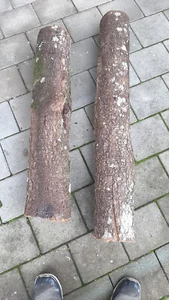 Zwetschgenholz Pflaumenholz 3 Jahre gelagert, basteln Deko drechseln Holz - Bild 1 von 3