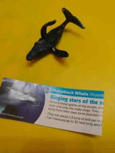 "NEU" 2018 Serie 4 Yowie Sammlerstück Buckelwal  - Bild 1 von 1