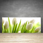 Crédence de cuisine en verre Panneau 125x50 Floral Tulipes