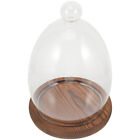 Floral Egg Glass Dome Cake Display Wooden Shade