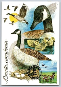 #3506a Great Plains Pronghorns and Canadian Geese FDC Maxi Card - Picture 1 of 2