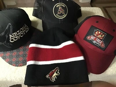 Lote de 4 gorras o gorro únicos Arizona (Phoenix) Coyotes NHL nuevos Foto 1 de 4