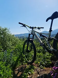 Specialized stumpjumper comp Carbon tg S3 2022 - Bild 1 von 3