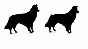 Border Collie Dog Cufflinks Mens Novelty Dog Shirt Cufflinks In Black - Picture 1 of 1