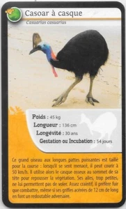 Carte Bioviva! - Casoar à casque - Picture 1 of 2