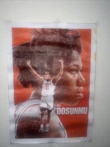 Ayo Dosunmu Leinwandbild 13x19 - Bild 1 von 3