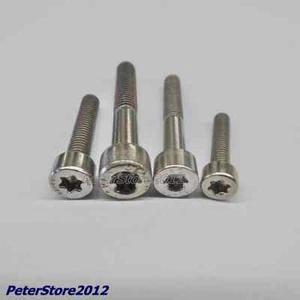 Tornillos de cilindro ISO 14579 acero inoxidable VA TX M6 culata - Imagen 1 de 1