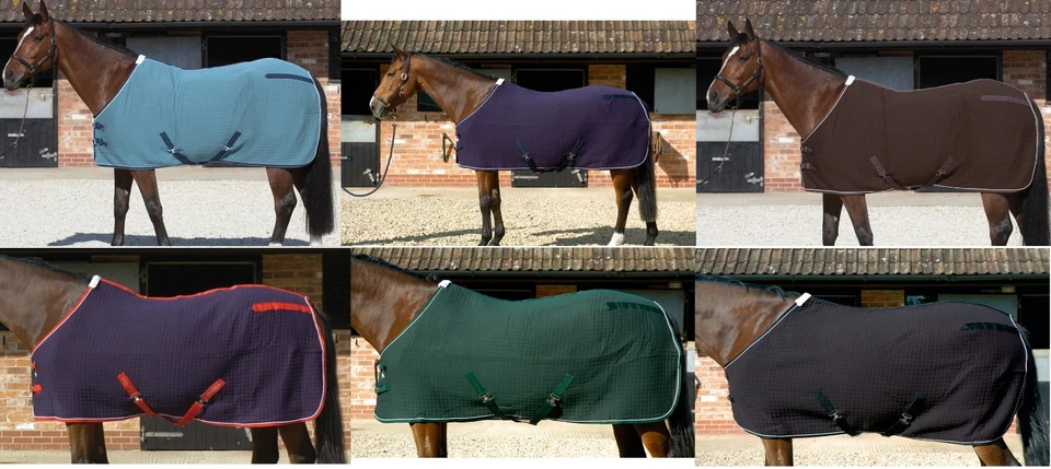 MARK TODD TRIPLE LAYER COOLEX STANDARD NECK TRAVEL/STABLE/COOLER HORSE SHEET/RUG - Image 1 of 1
