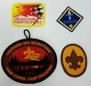 Lote de parches Boy Scout-Enganchados a Scouting-PineWoodDerby participante-Madera de pino Z3 - Imagen 1 de 1