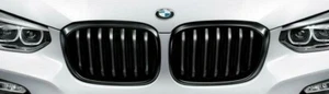 BMW OEM 2018-21 G01 X3 2019-21 G02 X4 Gloss Black Shadow-Line Front Grille Pair - Picture 1 of 2