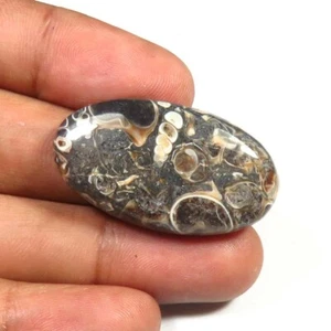 Tartella marrone fai da te pietra preziosa 33x18x6 mm tartaruga naturale ovale cabochon 31 ct TU-84 - Foto 1 di 9