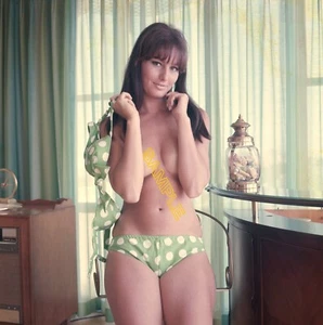 Foto #4 desnuda de Roxanna Lee - Bunny Yeager (años 60) - Imagen 1 de 1
