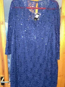M&Co Navy Blue Sparkle Lace Occasion Party Dress. Uk 22. BNWT £59 Wedding Sequin - Picture 1 of 11