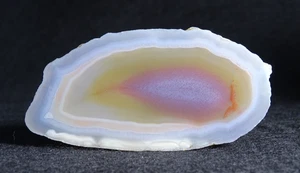 Laguna Agate Half Nodule Collector Rock Mexico Old Stock - Picture 1 of 5