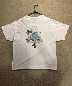 Camiseta Coastal Carolina University verde azulado onda de marea 2XL camiseta blanca gráfica - Imagen 1 de 6