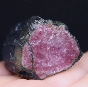 Watermelon Tourmaline California Origin 58g T660 Mineral Natural Stone Raw F/S - Picture 1 of 10