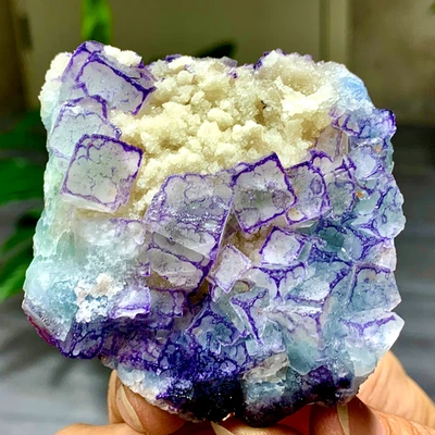 210G Natural Púrpura "Código QR" Racimo de Fluorita Cristal Mineral Espécimen/Guizhou Foto 1 de 4